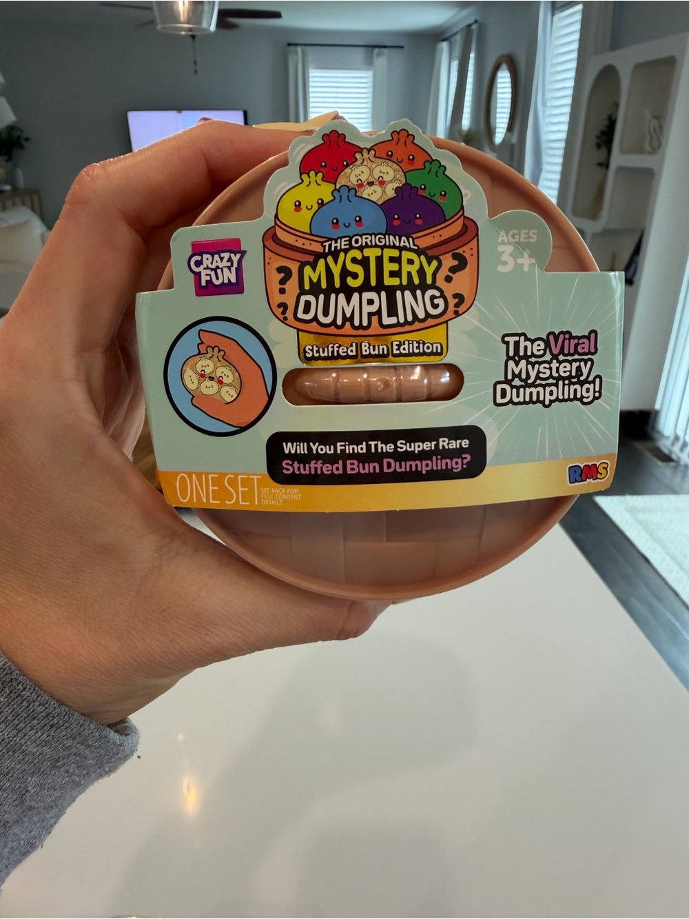 Mystery Dumpling Stuffed Bun Edition